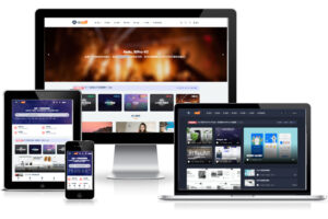 Ripro-v2主题对接蓝诺互联教程-蓝诺科技